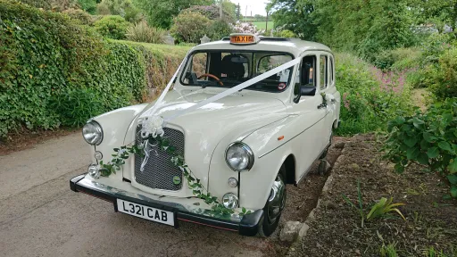 Classic ivory Taxi Car in Cornwall Countryside with traditional white ribbons and wedding flowers on bonnet
