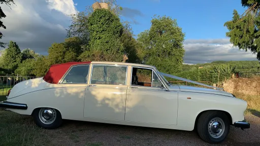 Side view of a classic Ivory Daimler limousine with Burgundy convertible roof. Car has White Ribbons on the bonnet and large chrome wheel caps and chrome bumpers