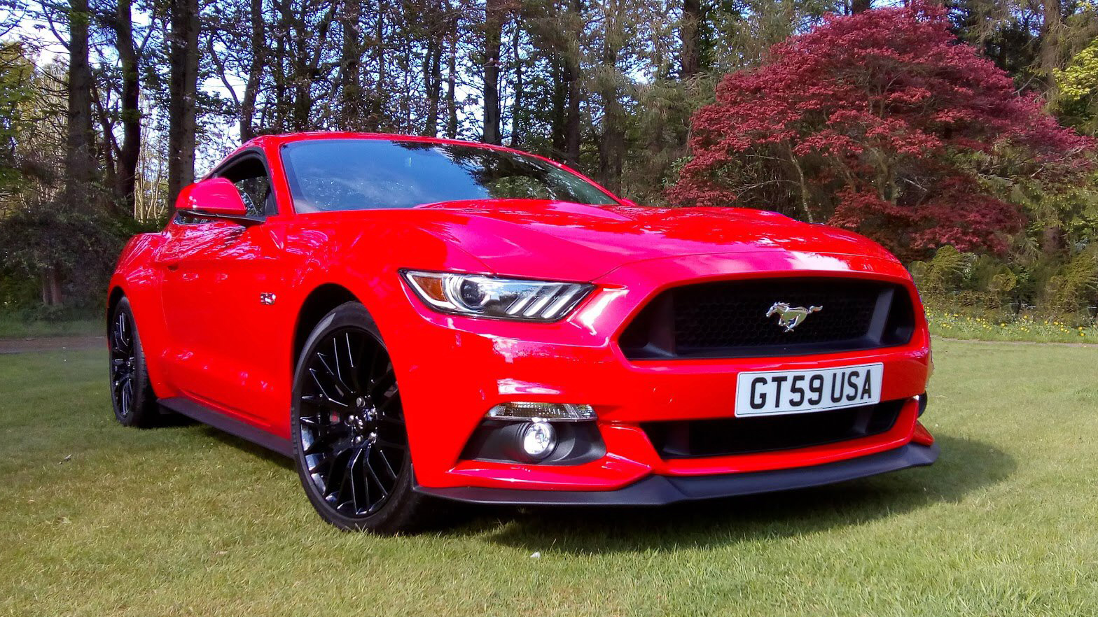 Modern red Mustang with balck wheels parked in a park with colourful flowers in the background.