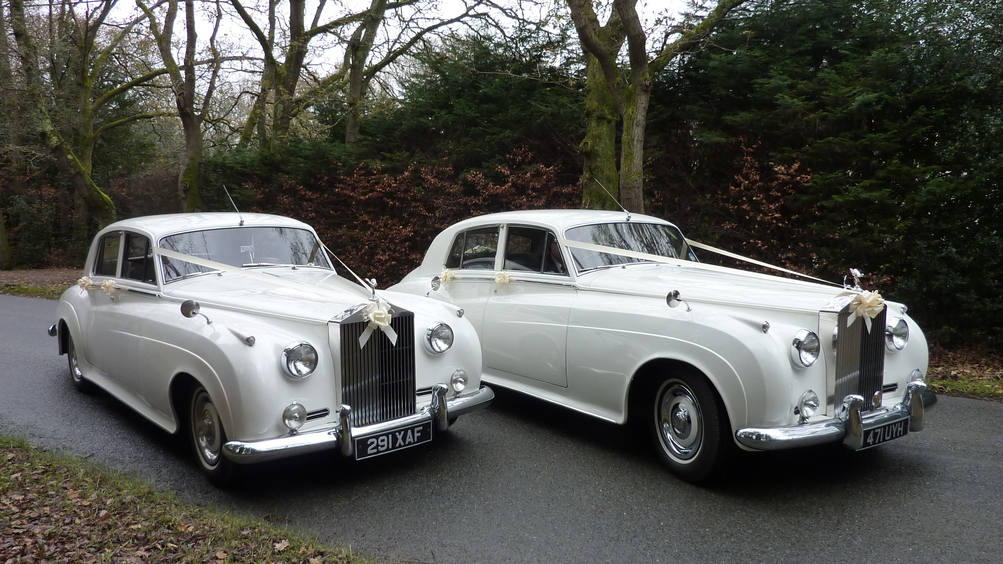 Two classic Rolls-Royce Silver Clouds decorated with traditional V-Shape Ivory Ribbons. Both vehicles are parked side-by-side in a winter Dorset countryside background.