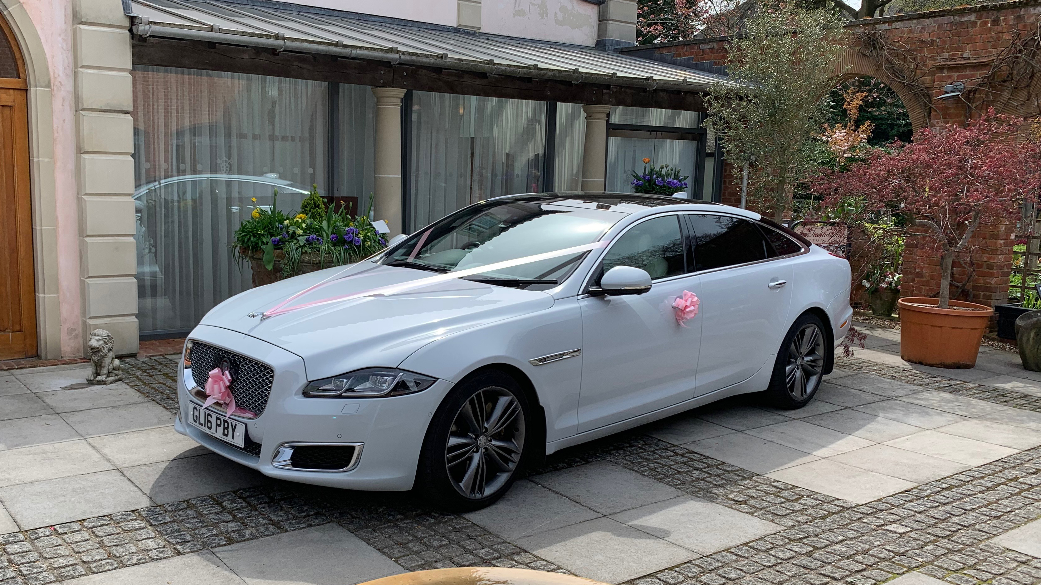 Dorset based White Jaguar XJ decorated with pale pink ribbons and bows.