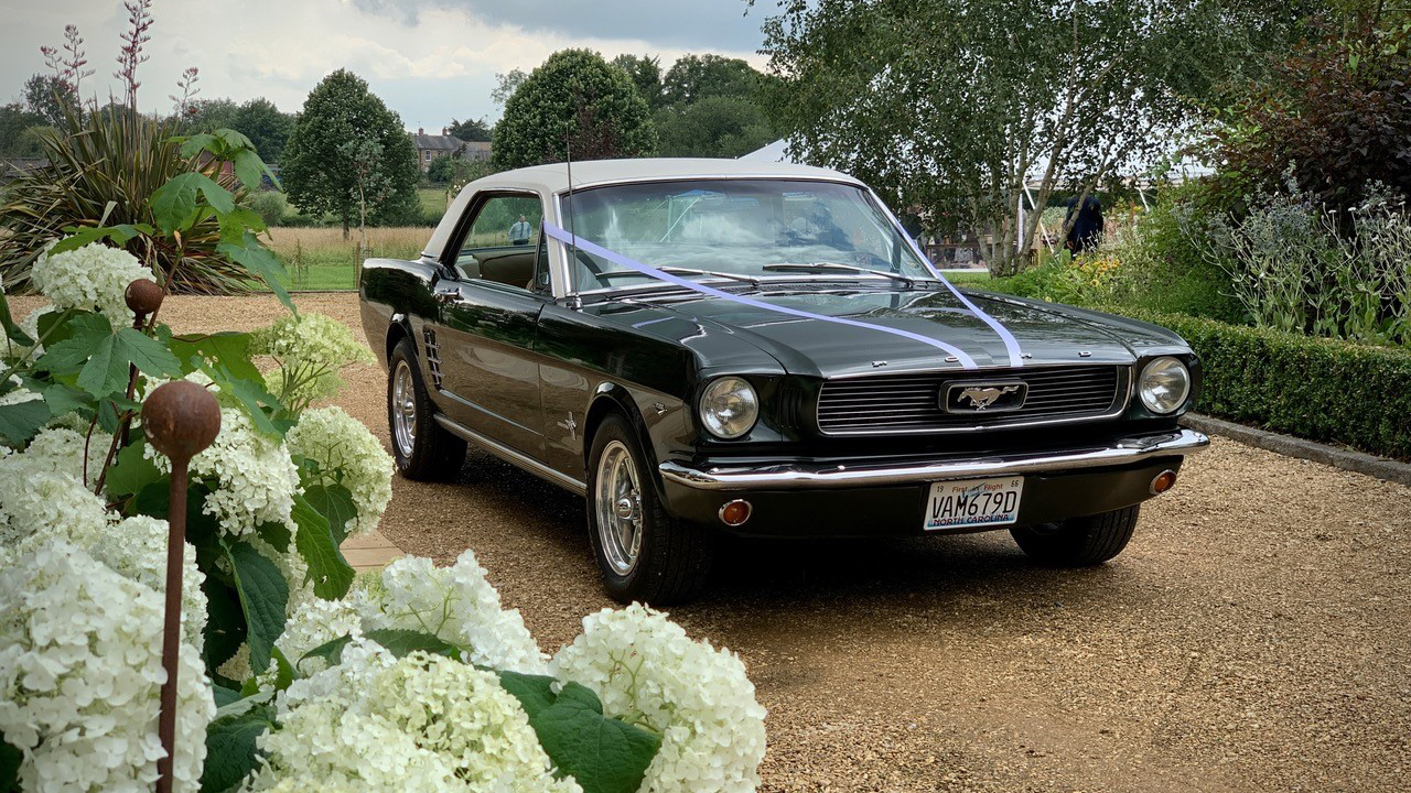 A Classic Mustang in Dark Green with White Roof decorated with Lilac Ribbons entering the long drive of a local Hook wedding venue. Single headlights, Mustang logo on front grill.