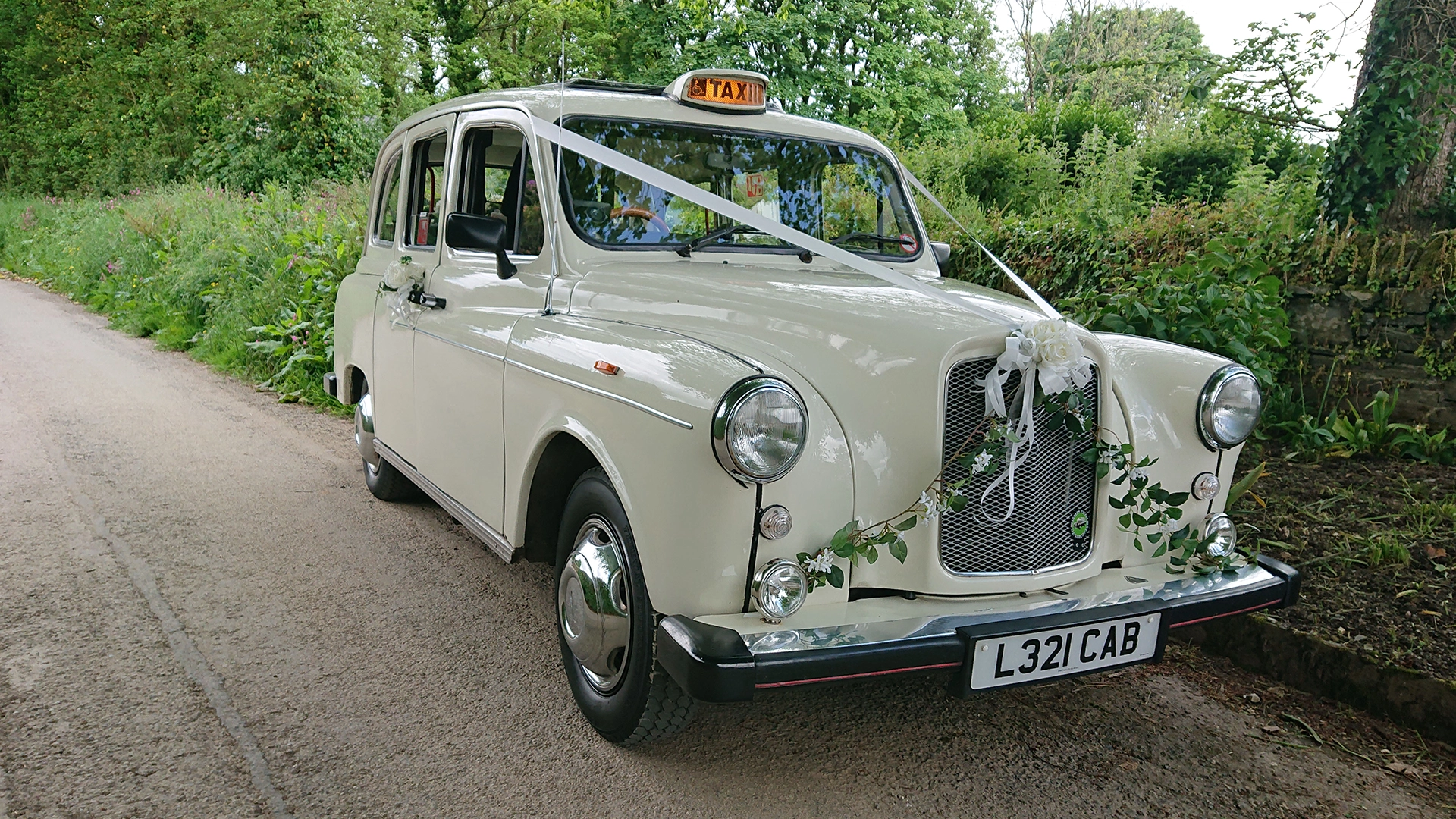 Classic Taxi Cab dressed with wedding ribbons and flower decoration on its front bumper parked on the road of Staffordshire.