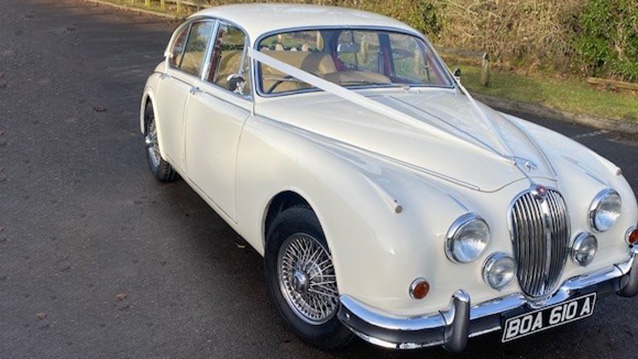 Right Side View Classic Jaguar with White Ribbons