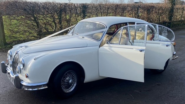 Left Side View Classic Jaguar with White Ribbons