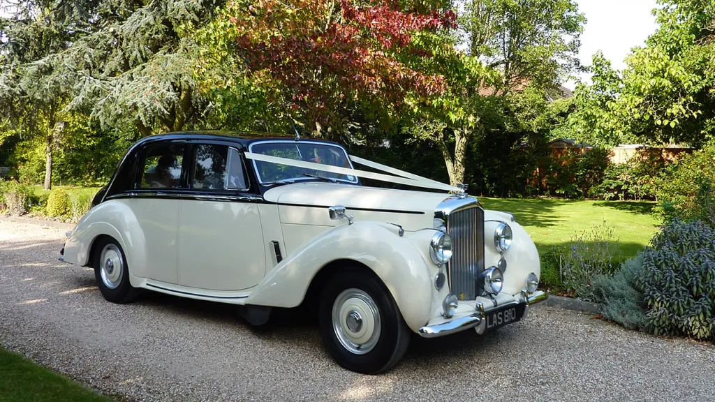 Side View Classic Bentley Wedding Car decorated with Traditional V-shaped White Ribbons