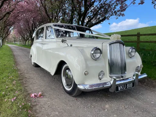 Ivory Classic Limousine with white ribbons shown from side