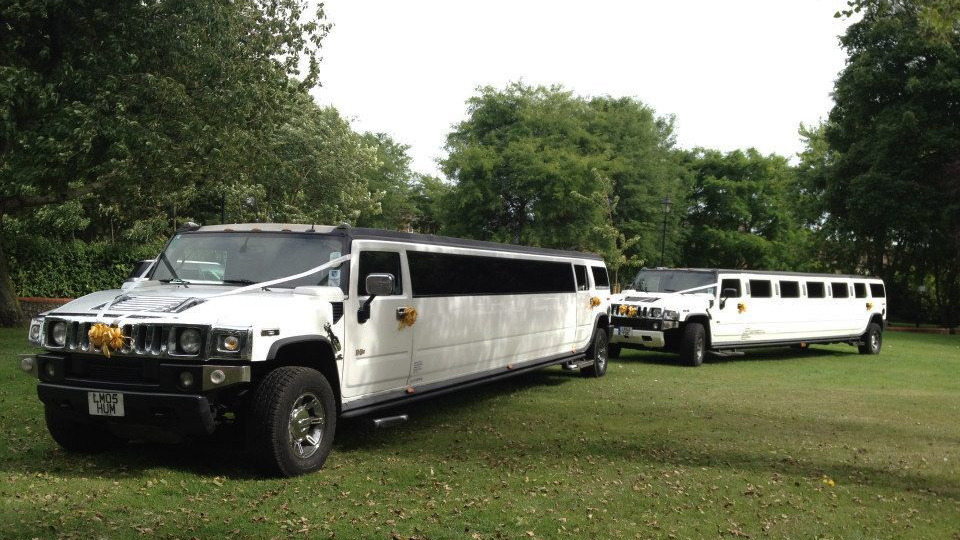 Two Matchine Hummer Limousine dressed with Wedding Ribbons in a park