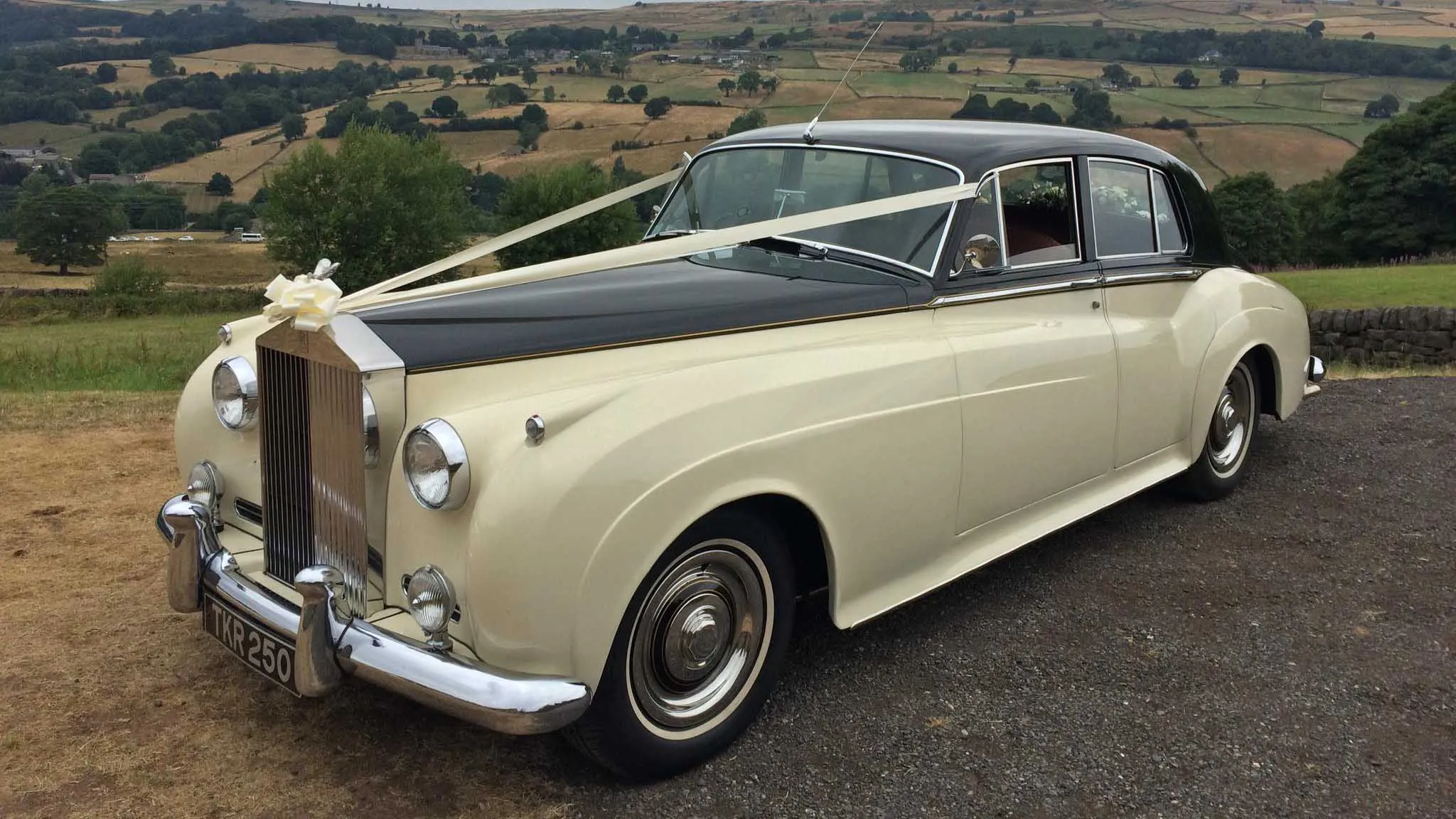 Classic Rolls-Royce Silver Cloud in ivory with Black Bonnet dressed with White Wedding Ribbons