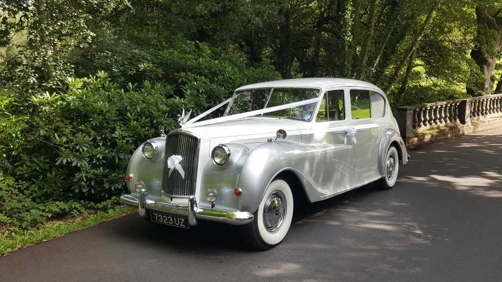Classic White & Silver Austin Limousine decorated wit hwhite ribbons and bow on its front grill