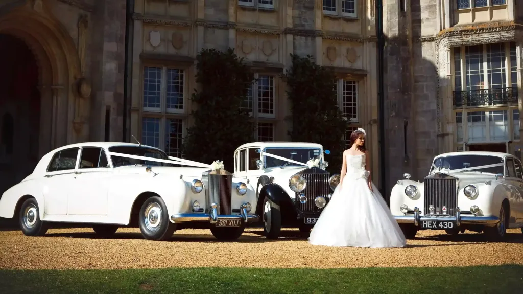 Three Classic & Vintage Wedding Cars with bride standing in the middle. All Three Vehicles have matching white ribbons