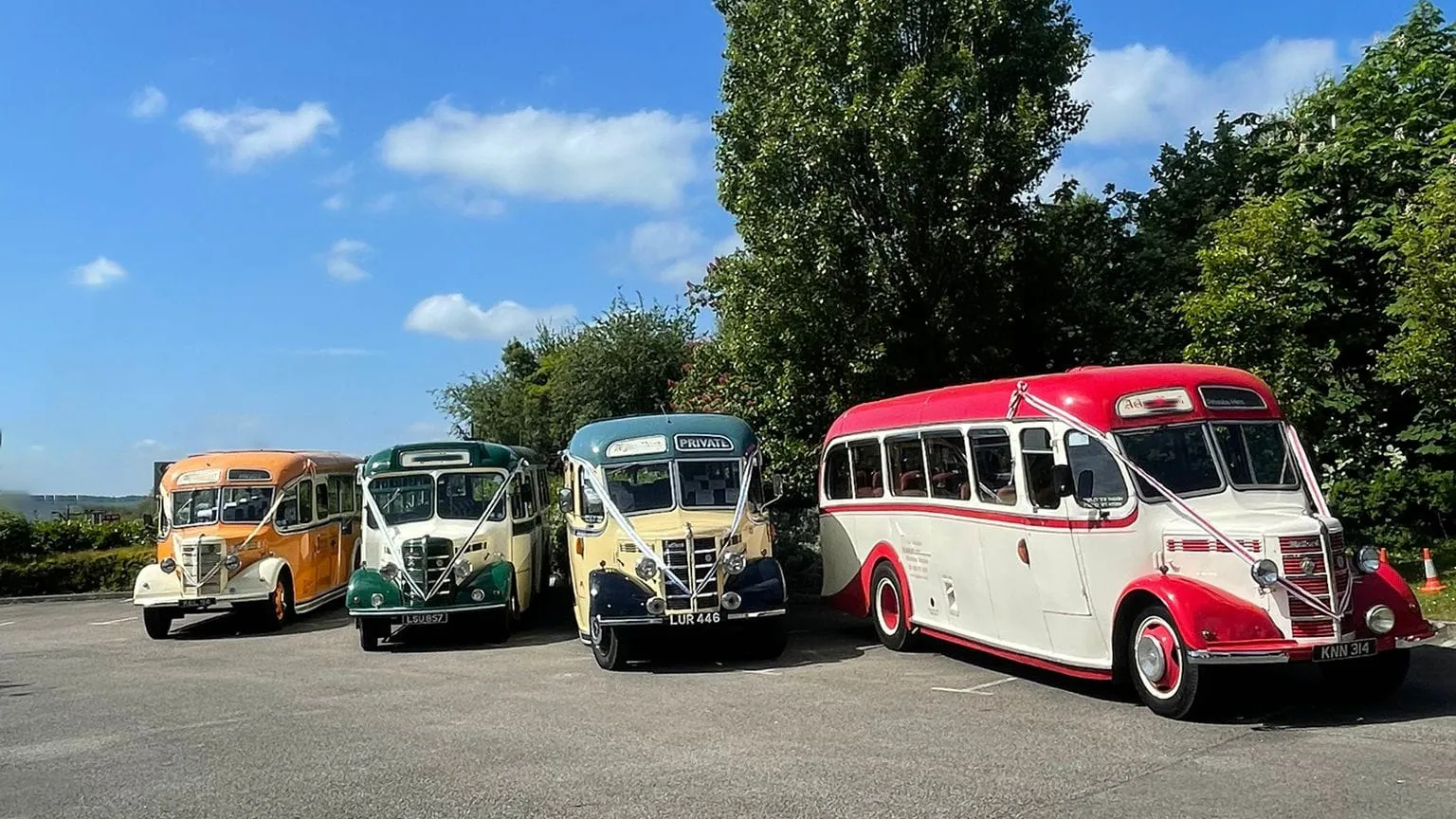 Four Single Decker Bedford Buses decorated with Matching Ribbons waiting for Wedding Guests to come out of venue