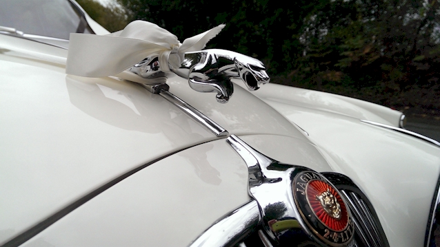 Photo of the Chrome Jaguar emblem on top of the front bonnet about the Red Jaguar Logo. White ribbon is attached to the Jaguar emblem.
