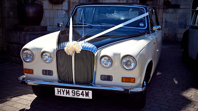 Front view of Daimler Limousine with twin headlghts and dressed with White Ribbons and Large Bow on top of its front grill
