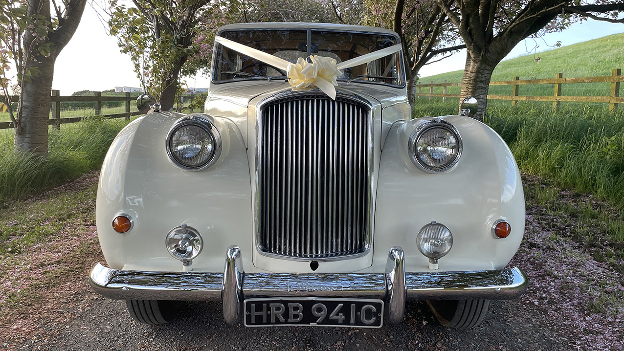 Front view of Classic austin Princess Limousine dressed with ivory ribbon and a Bow
