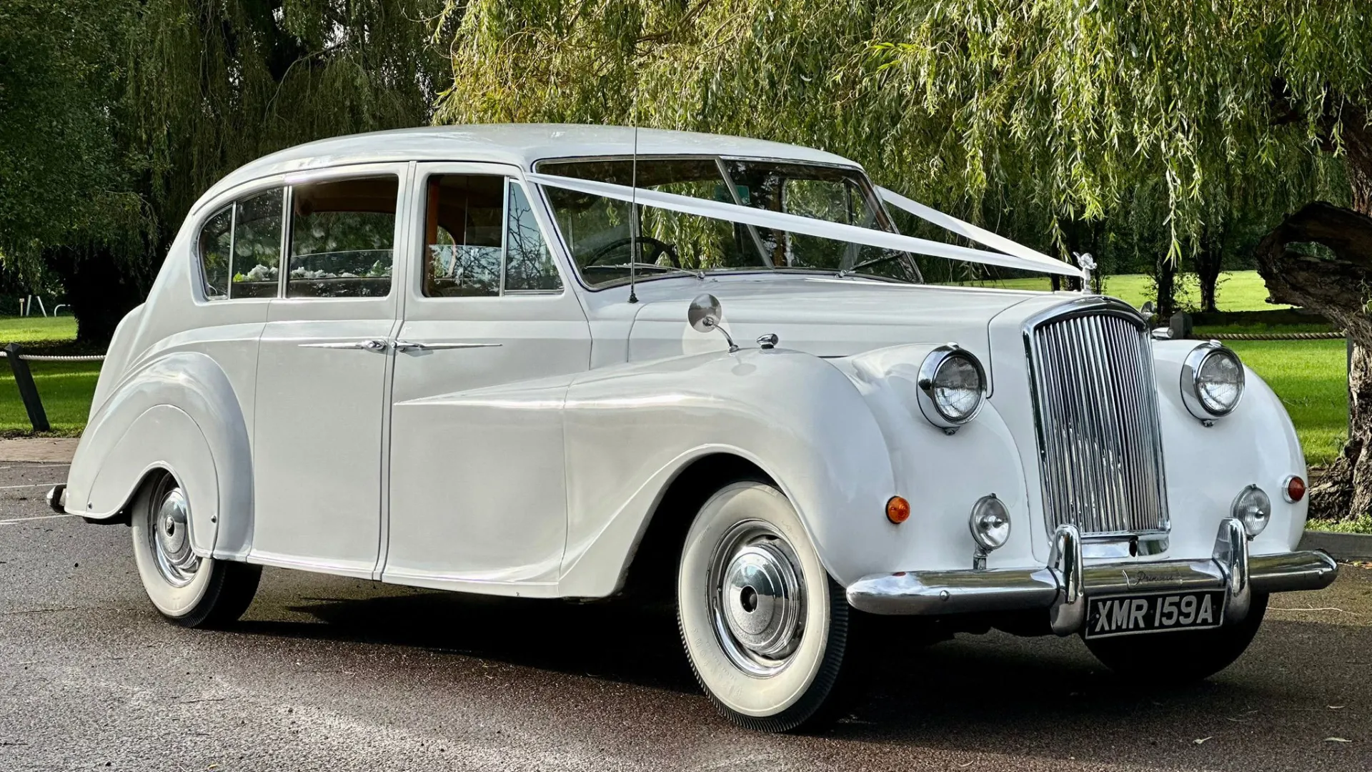 Front side view of classic Austin Princess Limousine decorated with white ribbons in a park with green tree in the background