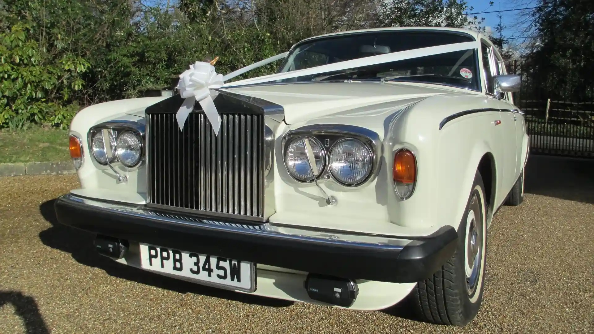 Front Left View of Classic Rolls-Royce showing long Chrome Grill and twin headlight. Large White bow is fixed to the Spirit of ecstasy standing on top of the grill