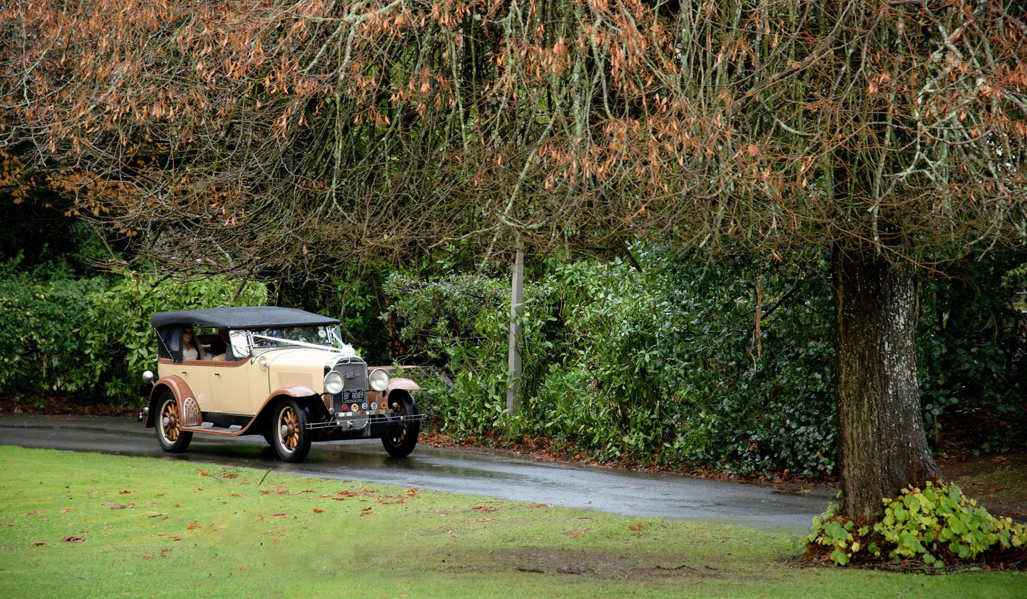 Vintage American Buick with cream and light brown colours dressed with white ribbons and black soft-top closed entering a venue in Devon. The Bride can be seen seated in the vehicle.
