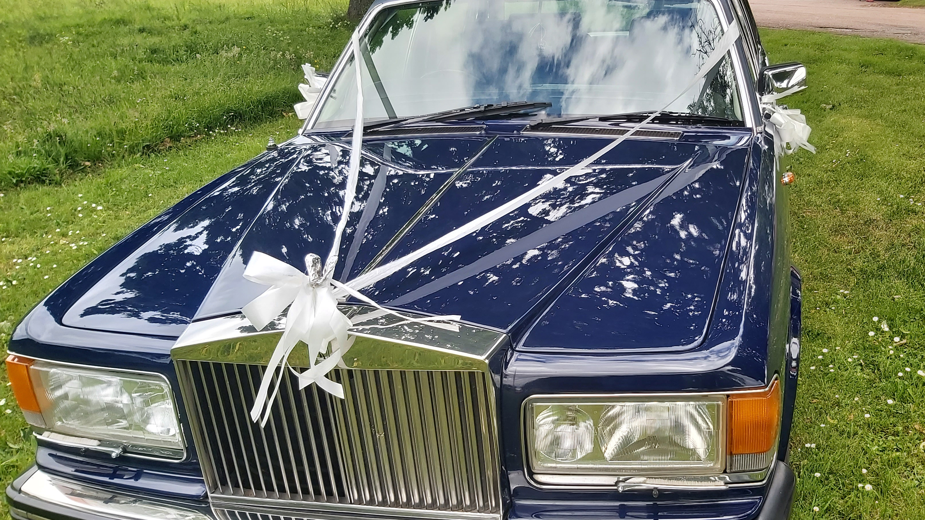 Front bonnet of blue rolls-royce with white ribbons and bow on attached to the spirit of ecstasy mascot