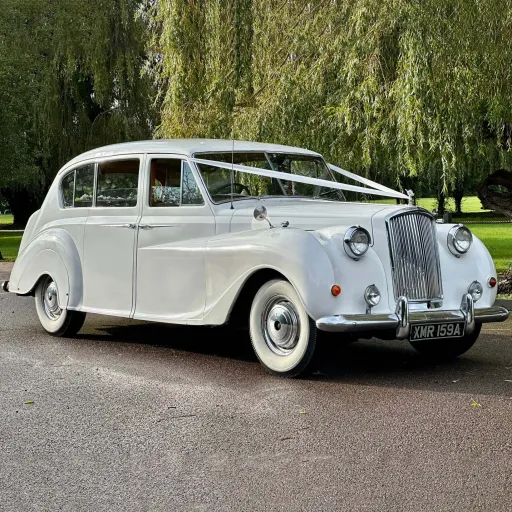 7-seater Austin Princess Limousine decorated with White Ribbons in a park with green trees in the background.