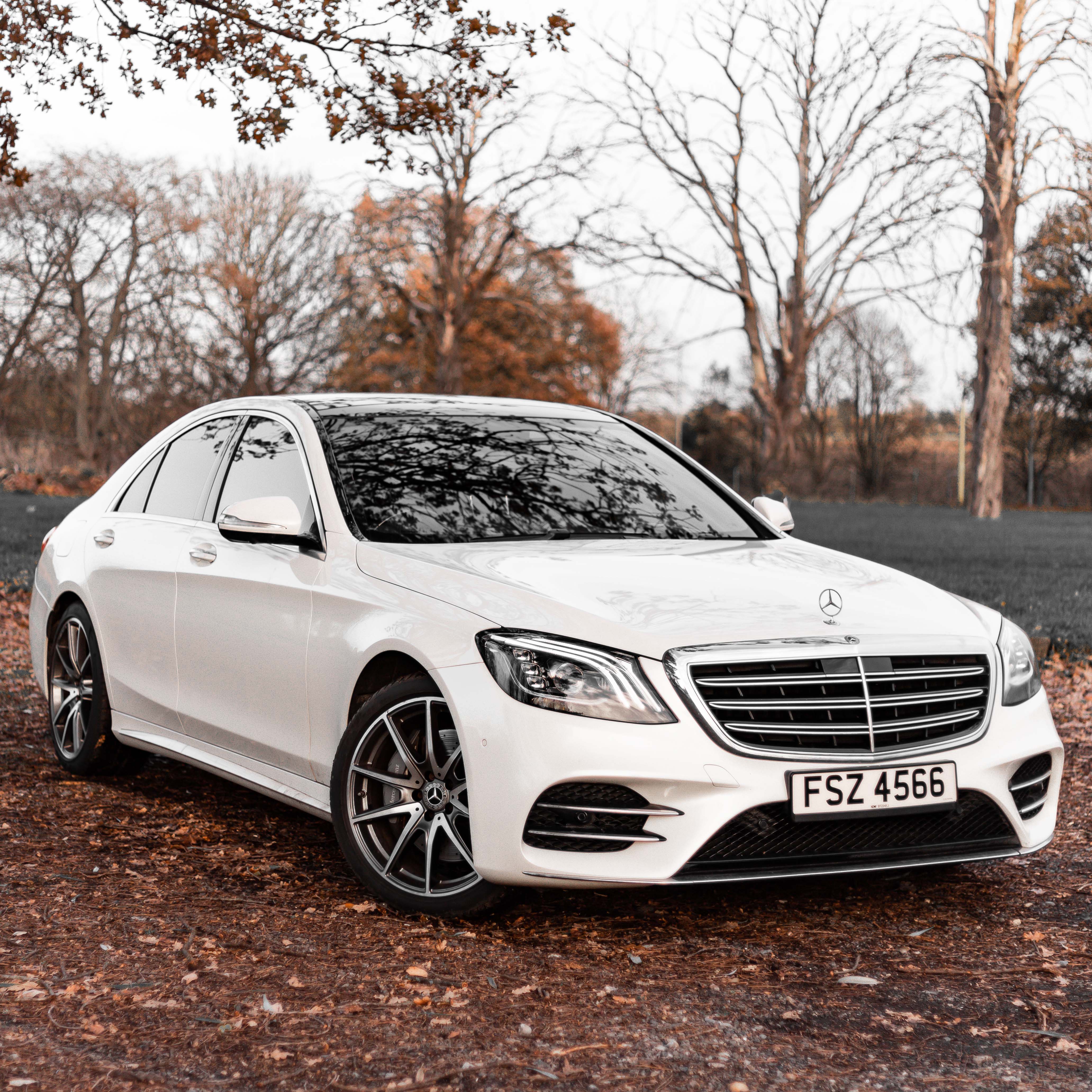 White Mercedes S-Class with an autumn background.