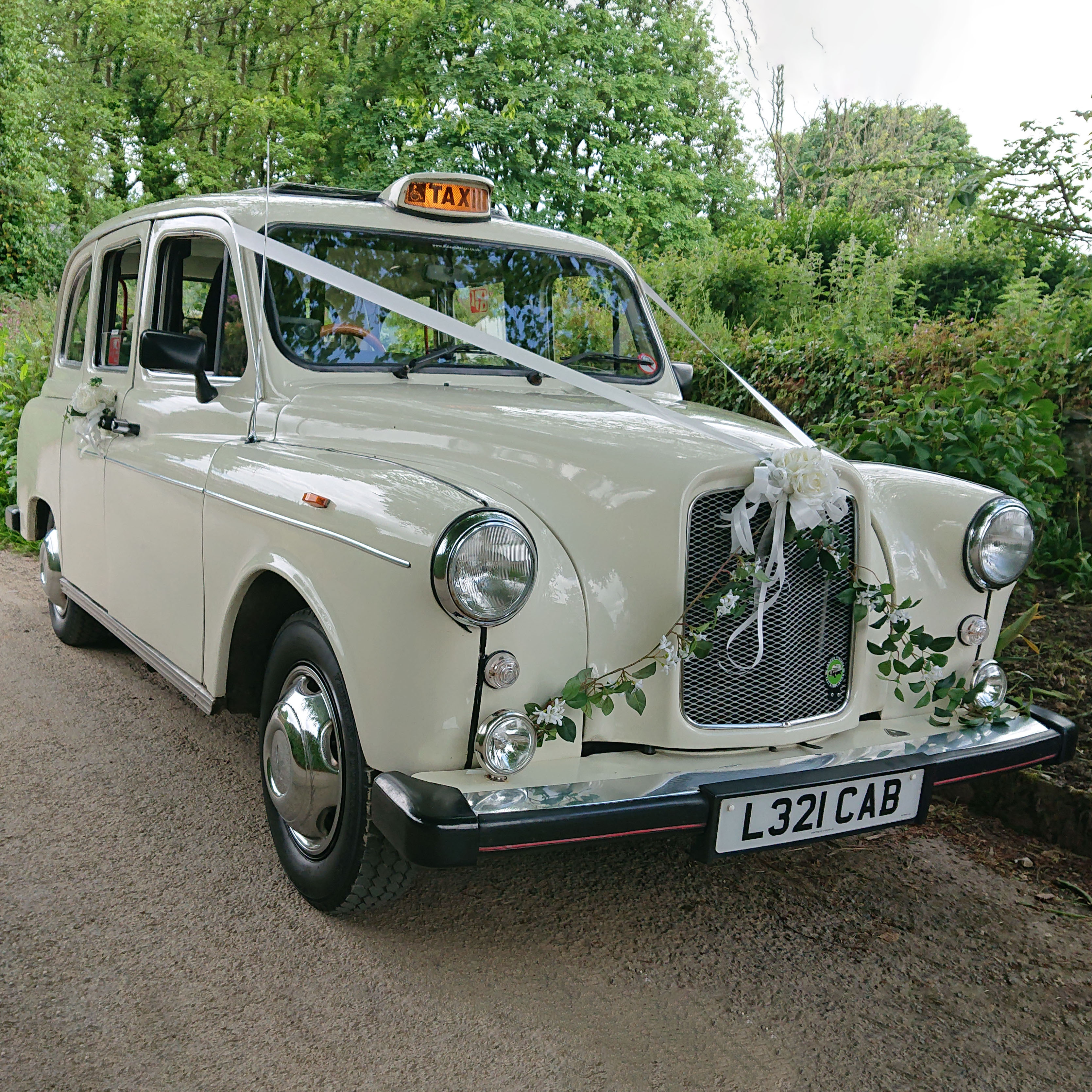 Classic Cream Taxi Cab decorated with white ribbon and floral arrangement on front bumper.