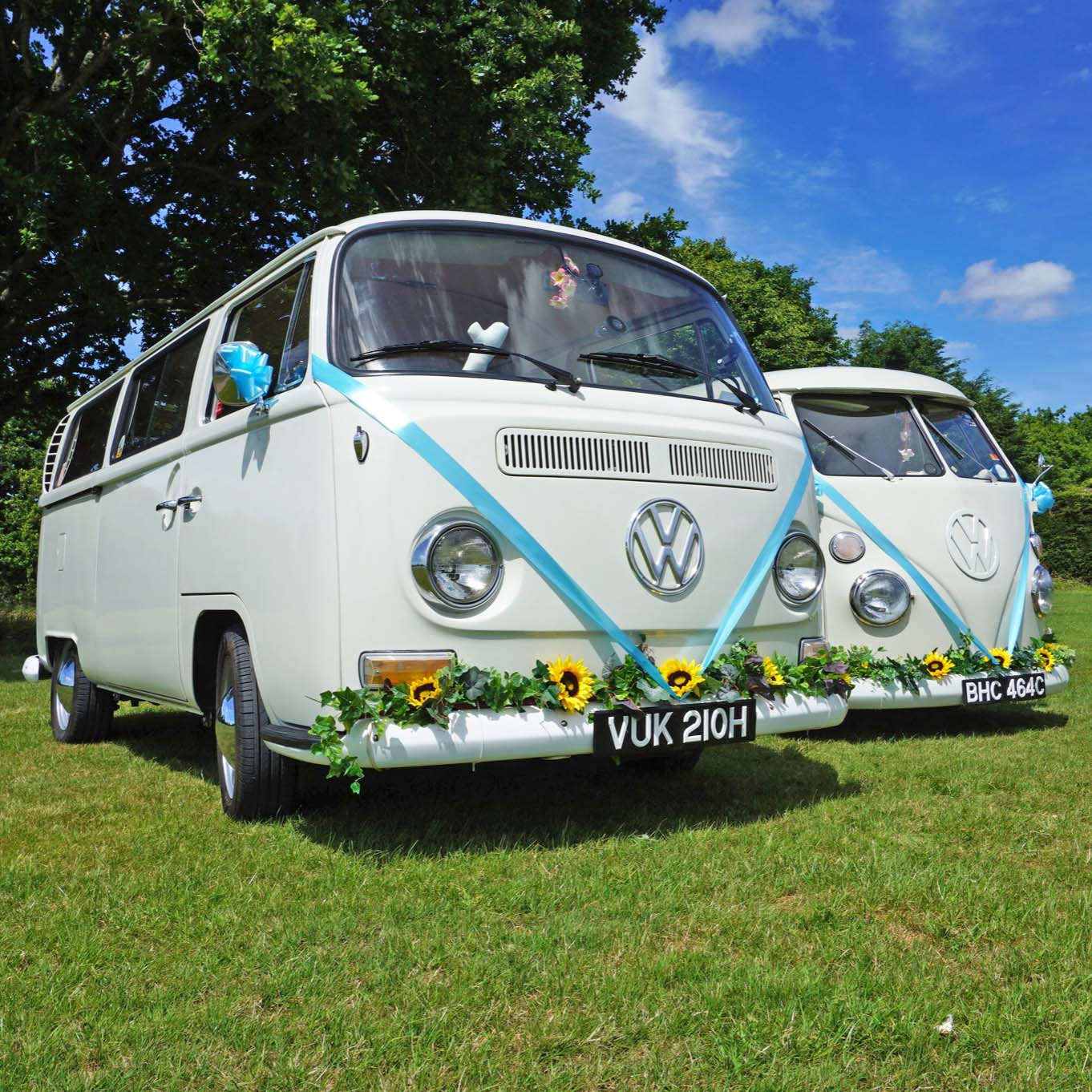 Two Matching Classic VW Campervans dressed with matching turquoise ribbons and flowers.