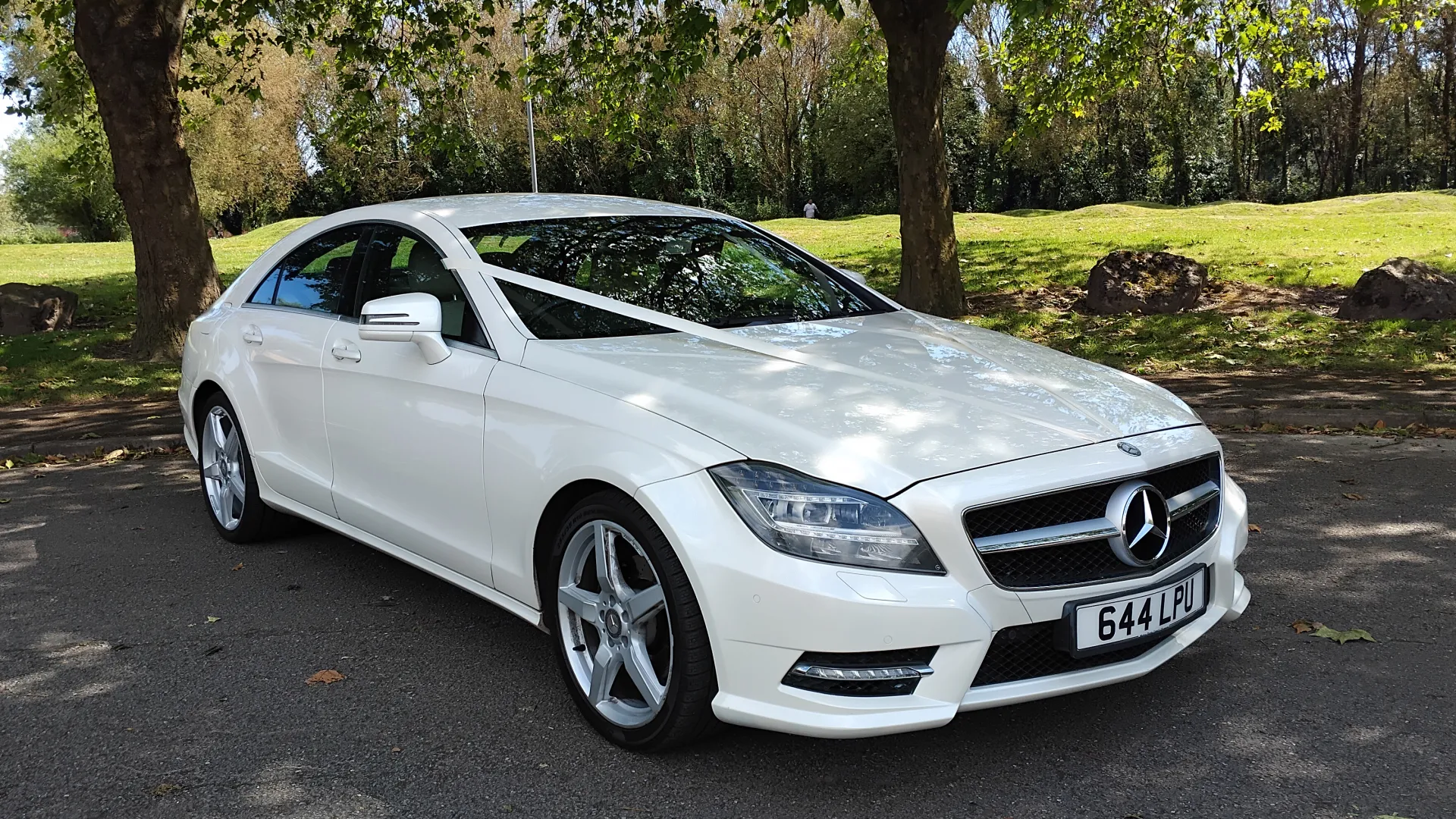 Rear front view of White Mercedes decorated with traditional White ribbons. Green grass and trees in the background