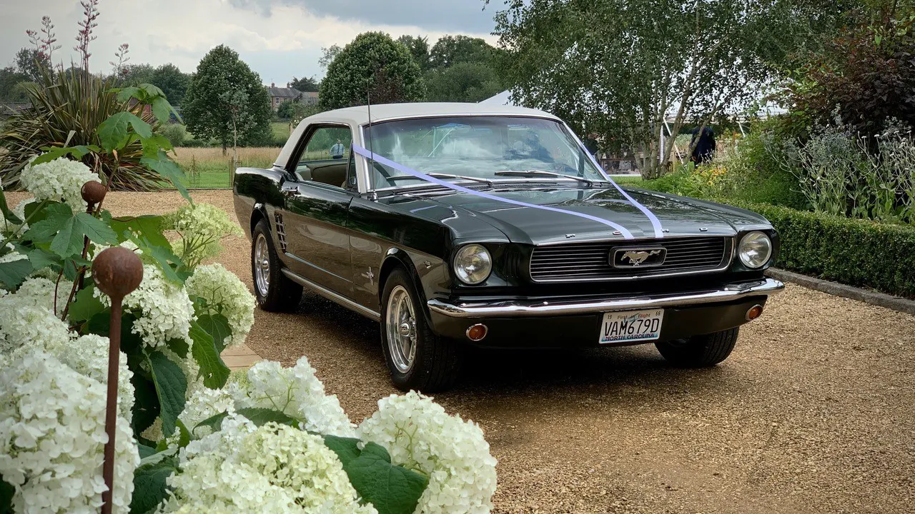 A Classic Mustang in Dark Green with White Roof decorated with Lilac Ribbons entering the long drive of a local Eastleigh wedding venue. Single headlights, Mustang logo on front grill.