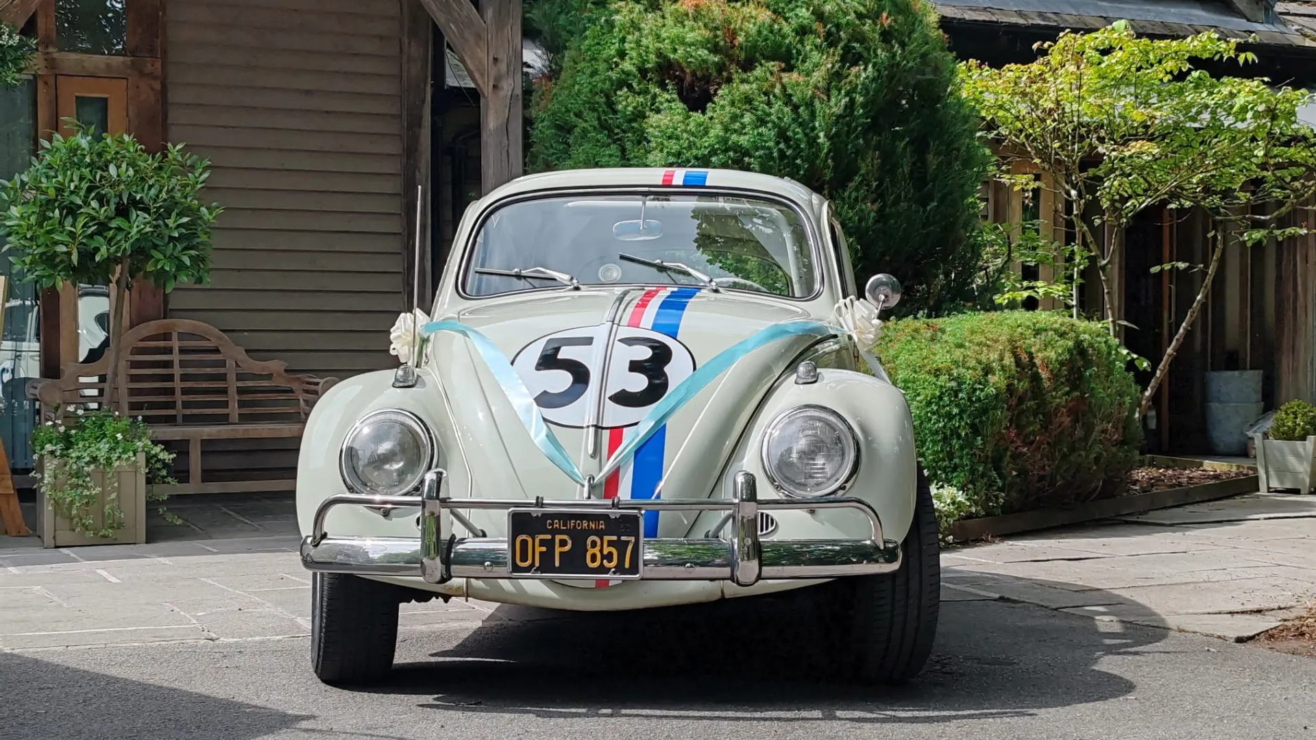 Front view of Classic VW Beetle "Herbie" with number 53 on front bonnet decorated with light blue wedding ribbons