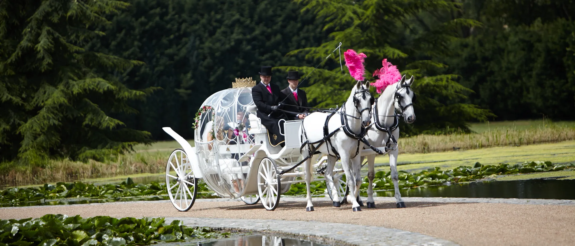 HORSE DRAWN CARRIAGES FOR HIRE