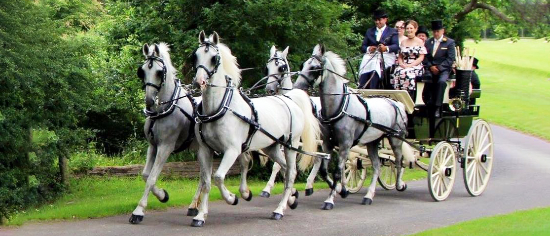 HORSE DRAWN CARRIAGES FOR HIRE