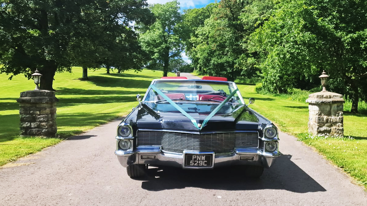 Full front view of Black American Cadillac with convertible roof open, light blue ribbons.