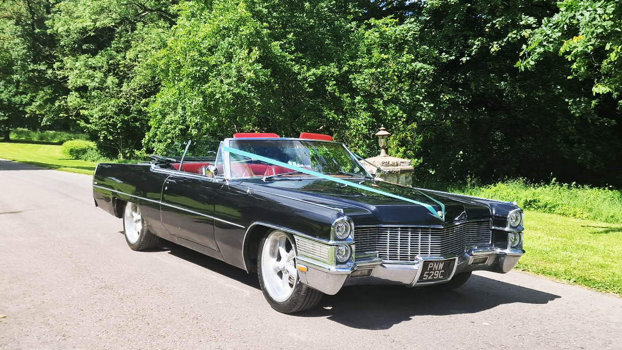 Classic American Cadillac in Black with large alloy wheels, light blue wedding ribbons,, burgundy leather interior and green trees in the background