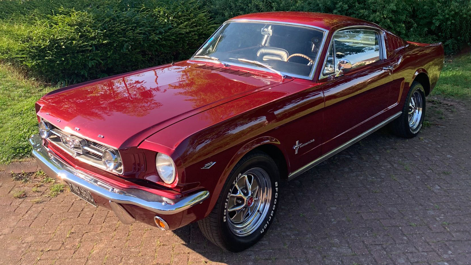 Cherry-Red Classic Mustang Fastback parked on the edge of a green forest