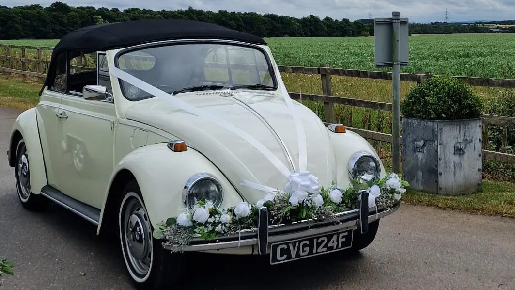 Classic Vw Beetle decorated with a garland of green foliage on its front bumper and white wedding ribbons accross its bonnet