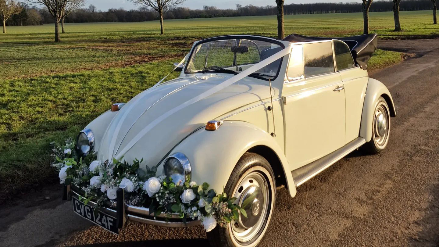 Classic VW Beetle decorated with white flowers and foliage attached to its front chrome bumper and white ribbons. Soft top roof is open. Photo taken at sunset.