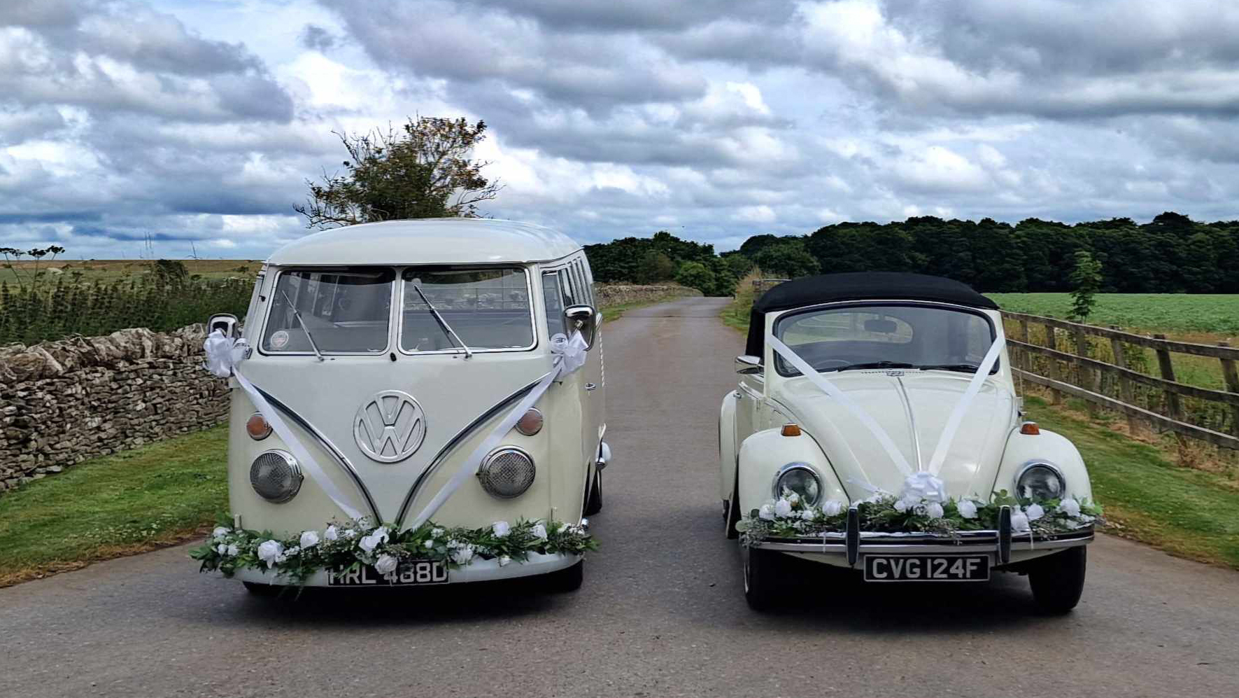 Classic VW Campervan and Beetle parked next to each others with matching white ribbons and green foliage on their front bumper