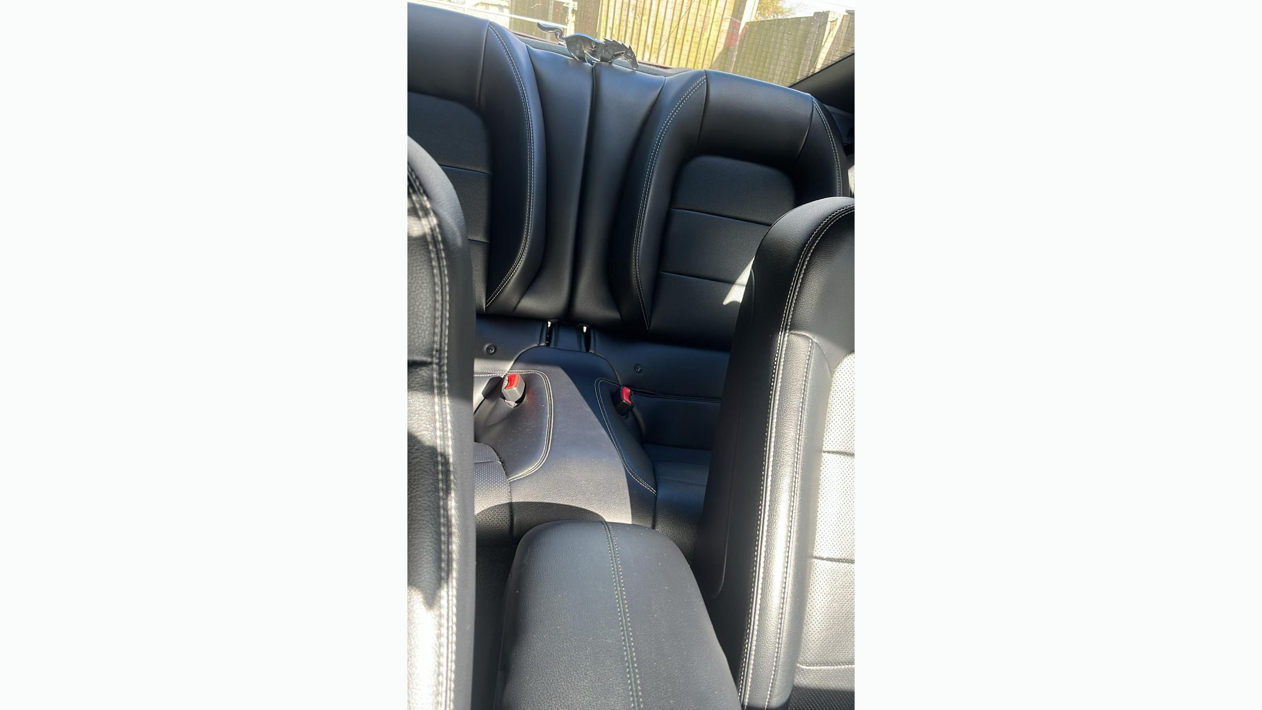 Rear sport seats inside modern ford Mustang. Black Leather.