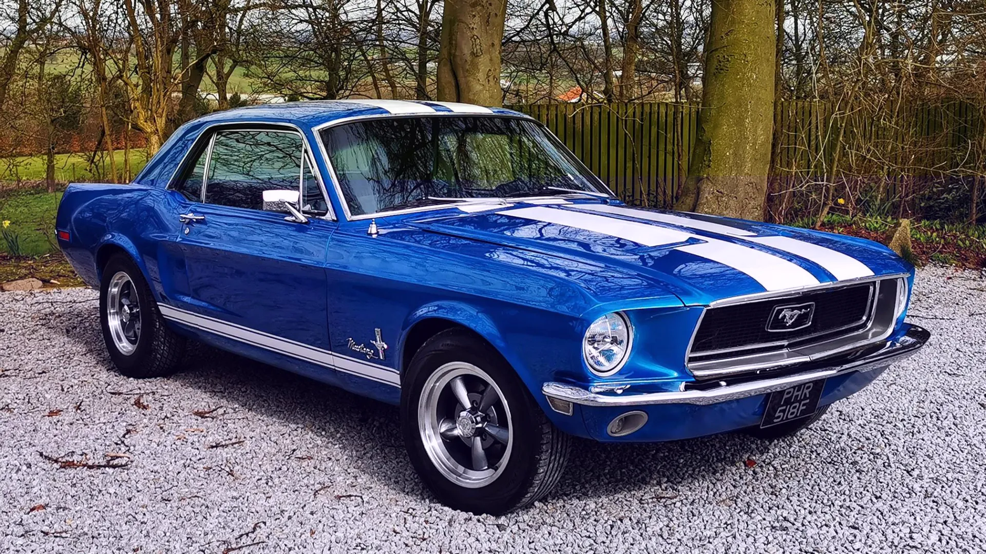 Front right side of Classic Blue Ford Mustang with two white stripes and chrome wheels