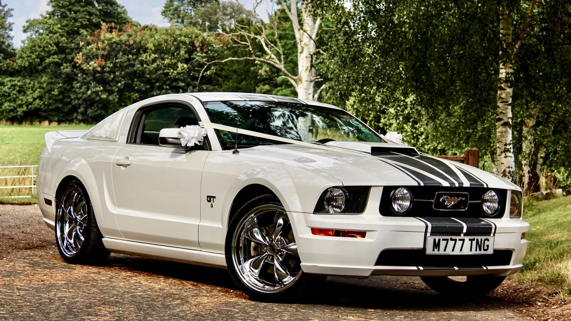 Front side view of Ford Mustang GT in White with black stripes accros bonnet decorated with white wedding ribbons