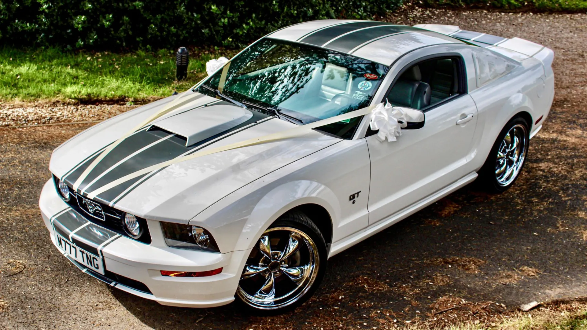 Aerial view of white Ford Mustang with black stripes accros bonnet and roof decorated with white wedding ribbons and white bows on door mirros