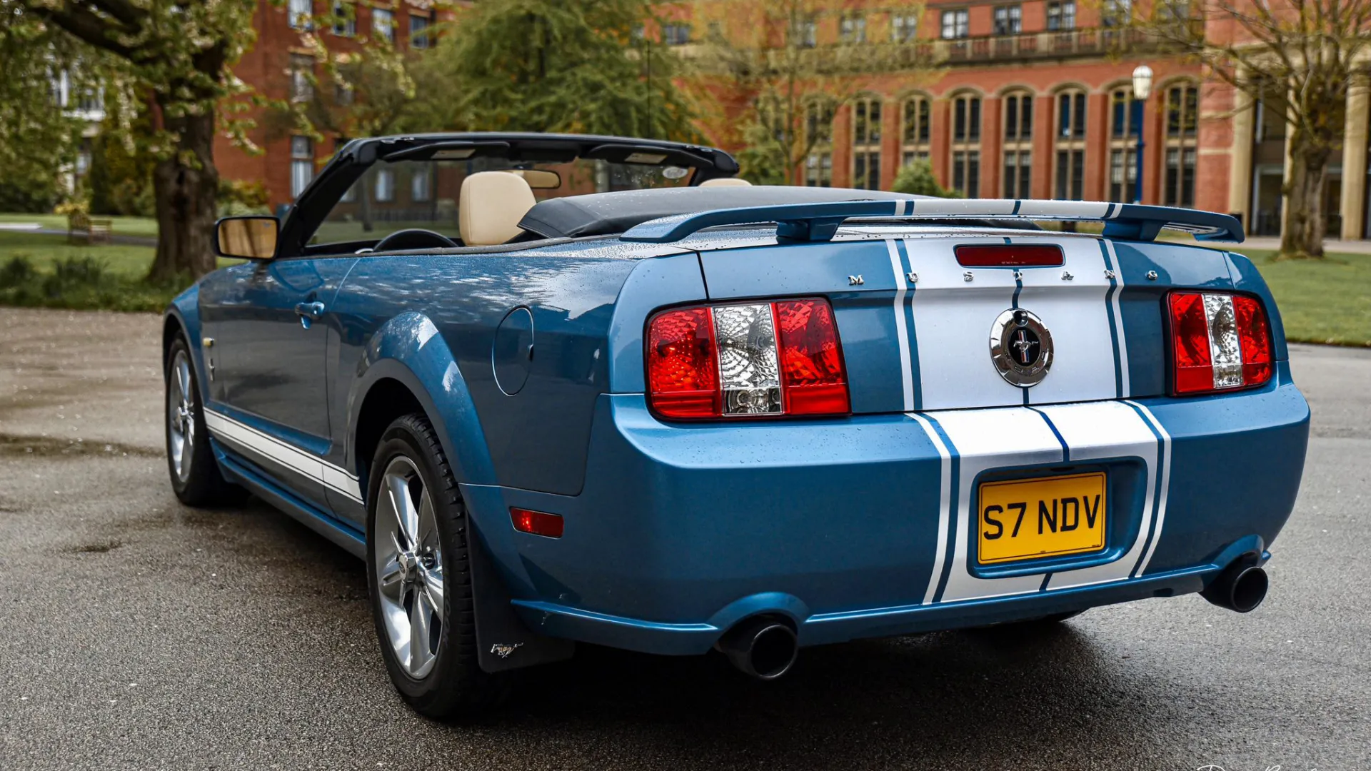 Rear view of Blue Ford Mustang with white stripes running down to the boot of the vehicle