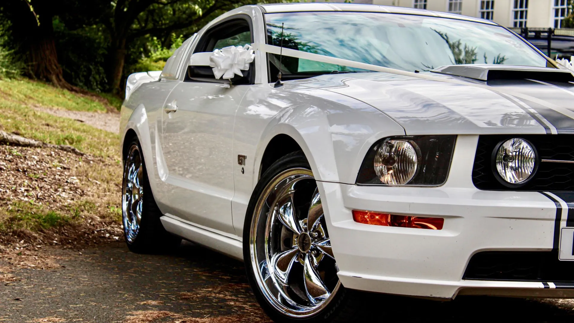 Side view of White Ford Mustang with large chrome alloy wheels and white bows on door mirror