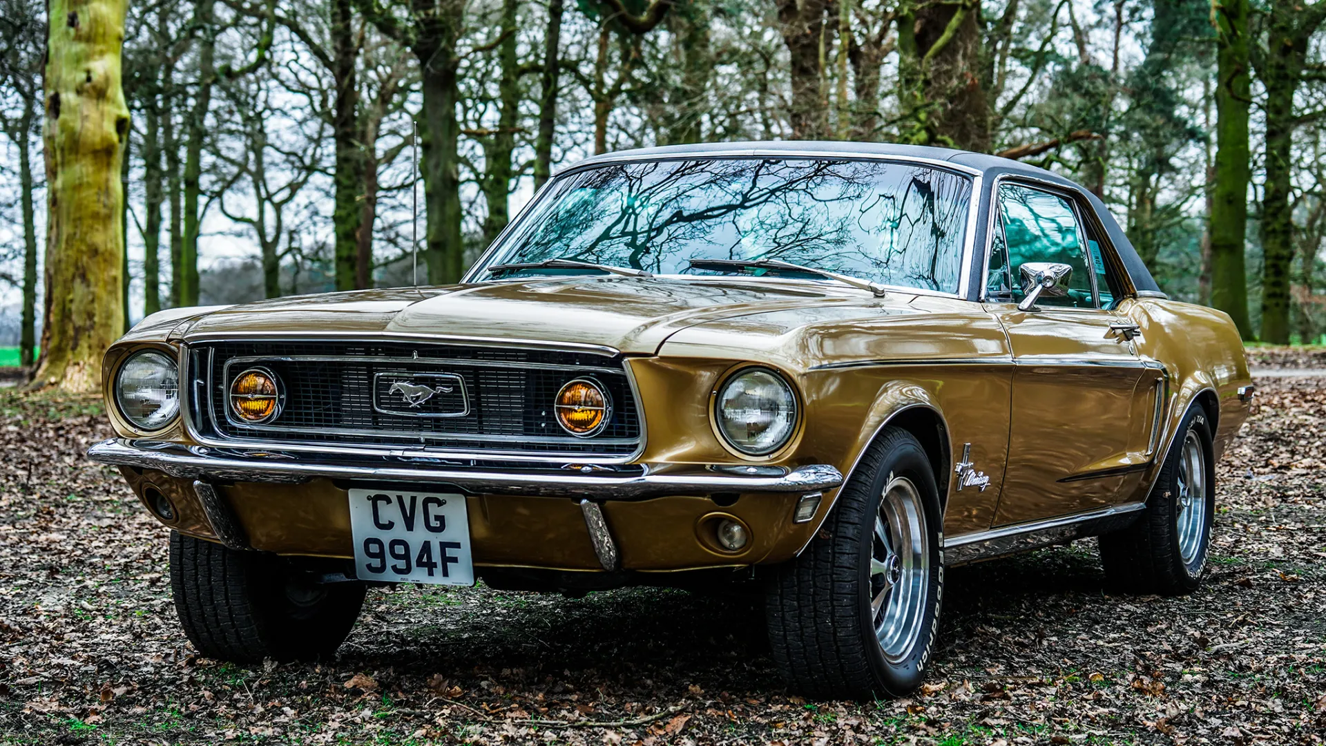 Classif Ford Mustang in Gold parked in the forest with Autumn colours