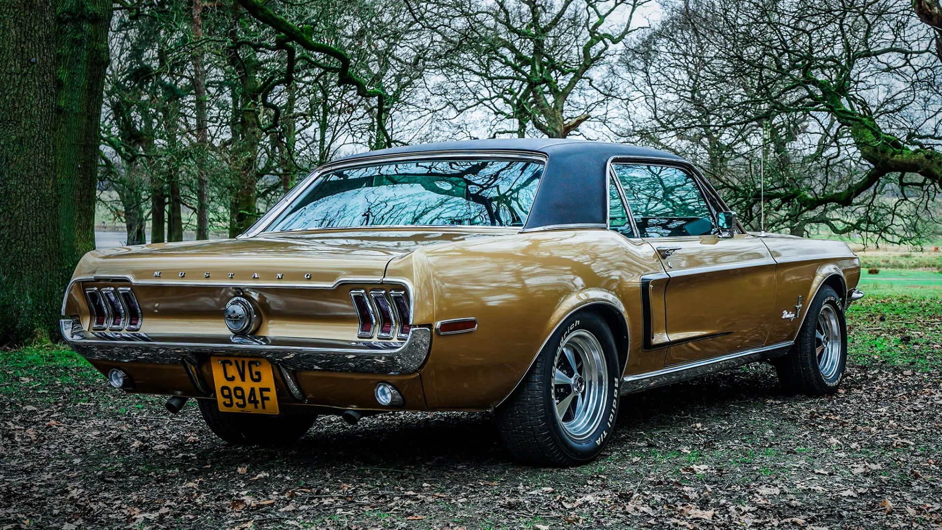 Rear view of Classic Ford Mustang in Gold with Chrome Bumpers and Chrome around rear lights