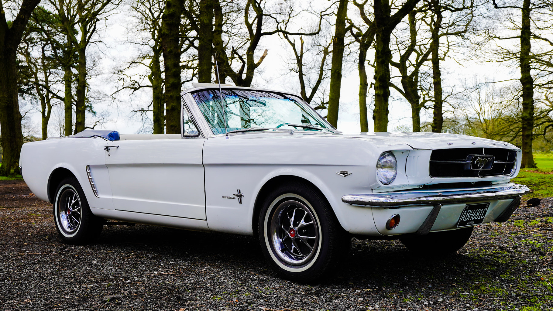 White Classic Ford mustang with Roof down in winter forest background