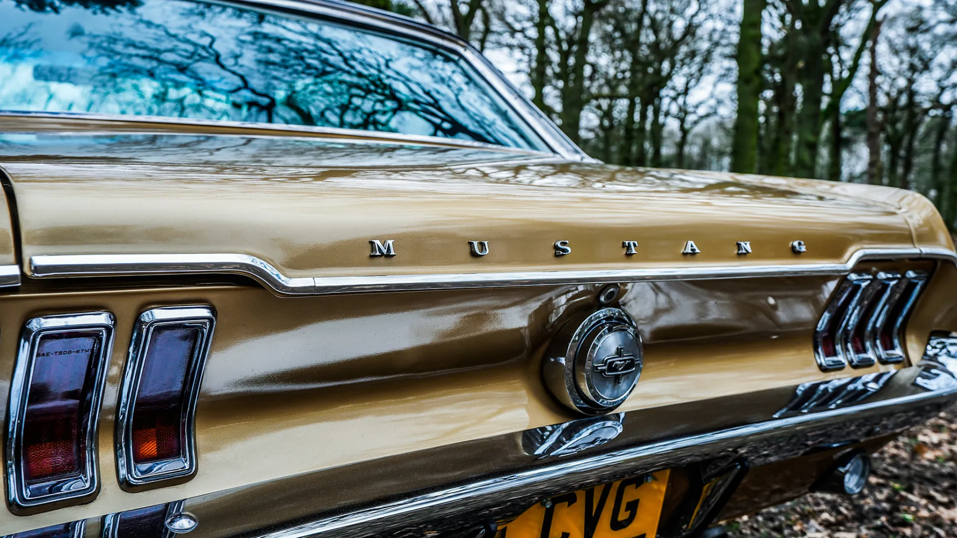 Rear view of Classic Ford Muistang with Chrome Bumper and chrome around the rear lights