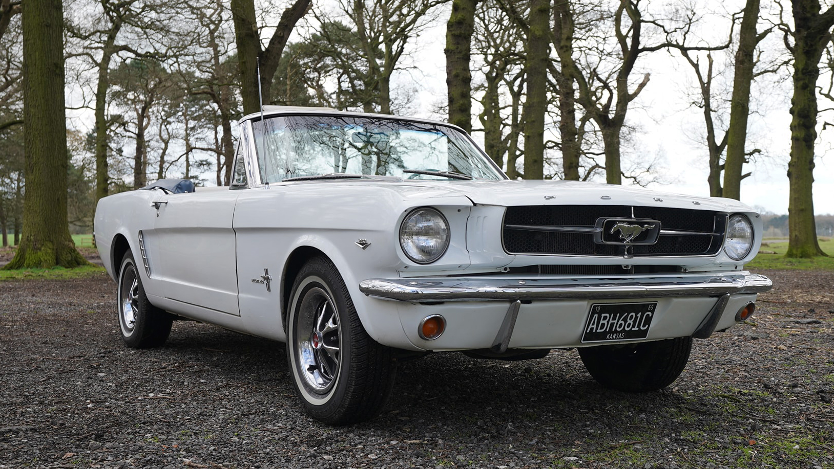 Front view of classic ford mustang in White in Winter Forest backdrop