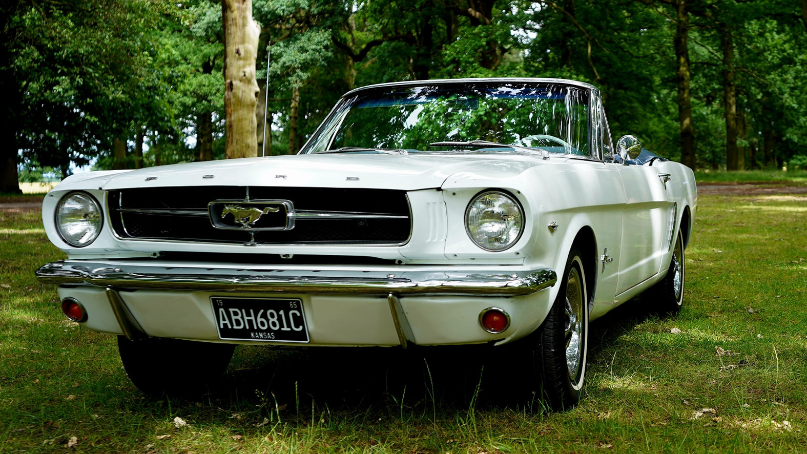 Left front view of classic american ford mustang with convertible roof down parked in a green field with trees in the background